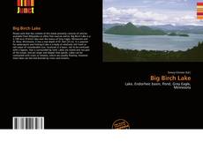 Buchcover von Big Birch Lake