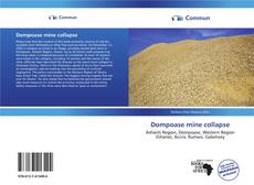 Buchcover von Dompoase mine collapse