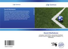 David Mathebula kitap kapağı