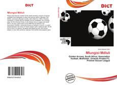 Portada del libro de Mlungisi Mdluli