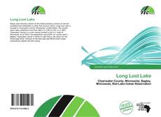 Capa do livro de Long Lost Lake 