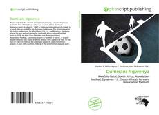 Bookcover of Dumisani Ngwenya