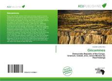 Bookcover of Gécamines