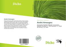 Capa do livro de André Amougou 