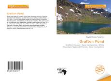 Bookcover of Grafton Pond