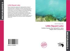 Buchcover von Little Squam Lake