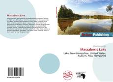 Massabesic Lake kitap kapağı