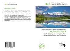 Portada del libro de Mendum's Pond