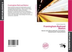 Buchcover von Framingham Railroad Station