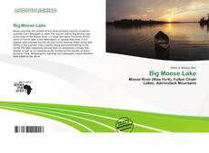 Couverture de Big Moose Lake