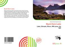 Buck Horn Lake的封面