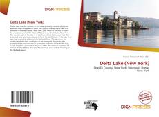 Copertina di Delta Lake (New York)