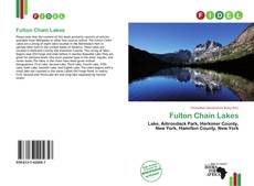 Bookcover of Fulton Chain Lakes