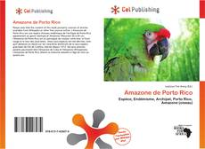 Buchcover von Amazone de Porto Rico