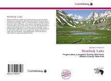 Hemlock Lake kitap kapağı