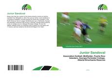 Bookcover of Junior Sandoval