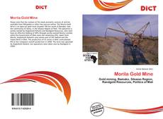 Capa do livro de Morila Gold Mine 