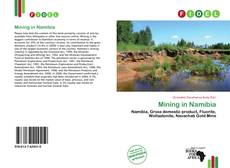 Buchcover von Mining in Namibia