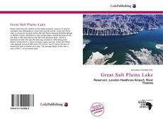 Great Salt Plains Lake kitap kapağı