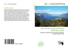 Bull Run Lake kitap kapağı