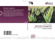 Copertina di Bhinneka Tunggal Ika