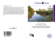 Buchcover von Conneaut Lake