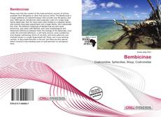 Couverture de Bembicinae