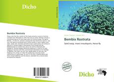 Обложка Bembix Rostrata