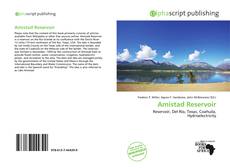Bookcover of Amistad Reservoir