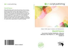 Borítókép a  David Sousa - hoz