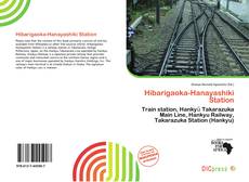 Hibarigaoka-Hanayashiki Station的封面