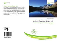 Copertina di Choke Canyon Reservoir