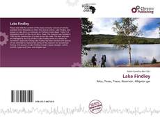 Lake Findley kitap kapağı