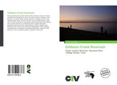 Portada del libro de Gibbons Creek Reservoir