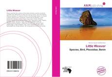 Capa do livro de Little Weaver 