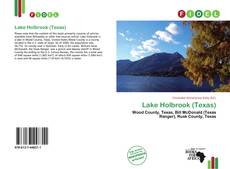 Bookcover of Lake Holbrook (Texas)