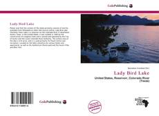 Copertina di Lady Bird Lake