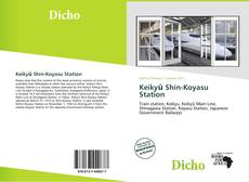 Bookcover of Keikyū Shin-Koyasu Station