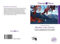 Portada del libro de Meadow Lake (Texas)