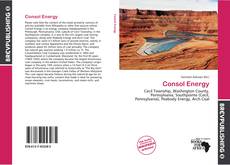 Buchcover von Consol Energy