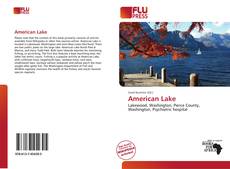 American Lake的封面