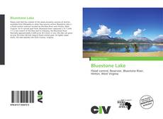 Portada del libro de Bluestone Lake