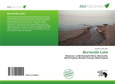 Bookcover of Burnsville Lake