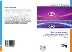 Bookcover of Ketan Mulmuley