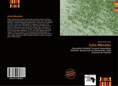 Bookcover of Julio Morales