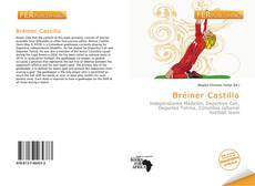 Bookcover of Bréiner Castillo