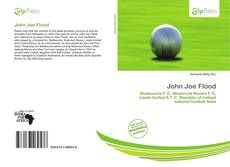 Bookcover of John Joe Flood