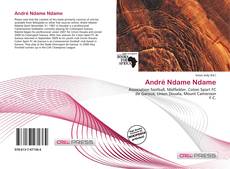 Couverture de André Ndame Ndame