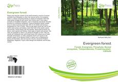 Copertina di Evergreen forest