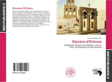 Buchcover von Diocèse d'Orléans